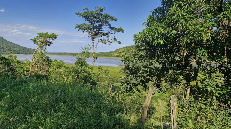 Imagem Área Exclusiva à venda com 12.500 m² no Macacu, Garopaba-SC: Vista para Lagoa e Mar.