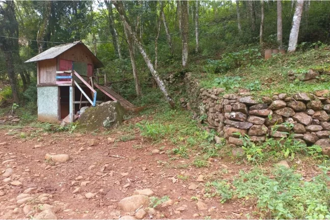 Imagem Fazenda/Sítio para venda no bairro Rolante em Rolante