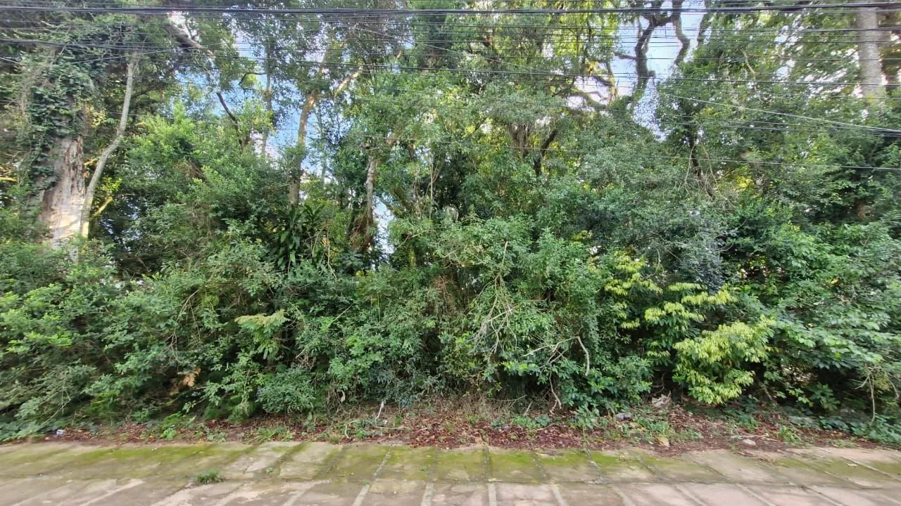 Imagem Terreno grande no bairro teresopolis