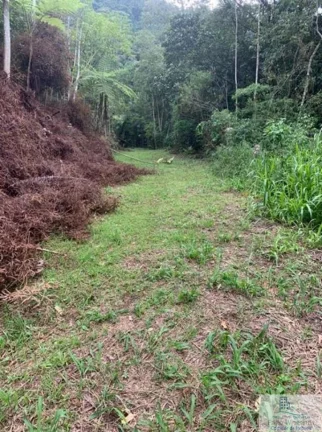 Imagem Rural - Chácara, para Venda em Rio dos Cedros/SC