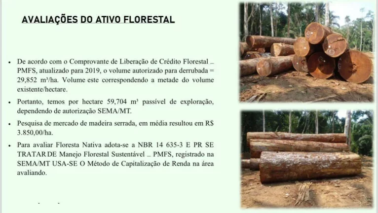 Imagem Área - Propriedade à Venda - MT