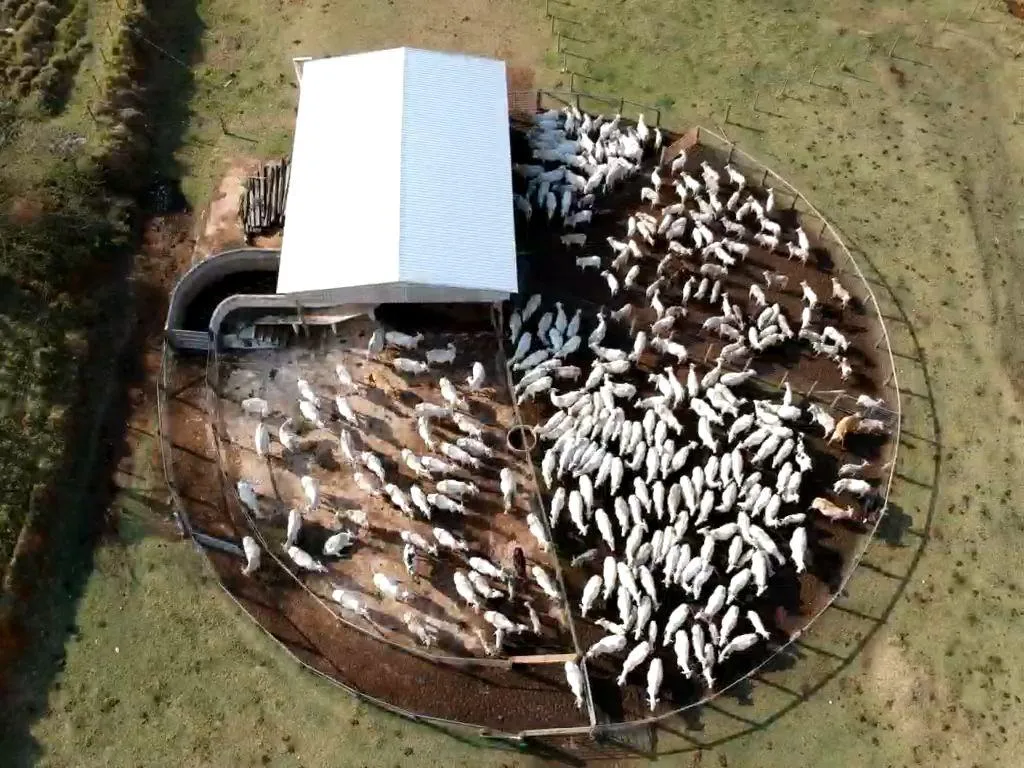 Imagem Vendo uma magnífica fazenda em Santo Antônio do Amparo/MG 318 hectares