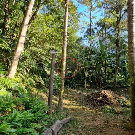 Imagem Lindo terreno na Beira Rio, com 1500 mt com patamar e area de preservaçao.