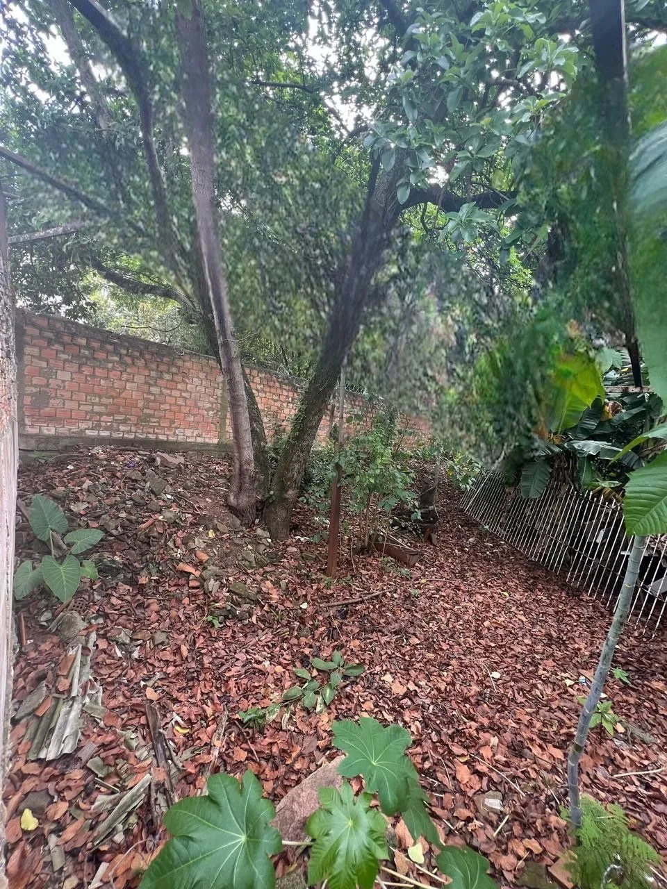 Imagem Terreno em Cristal