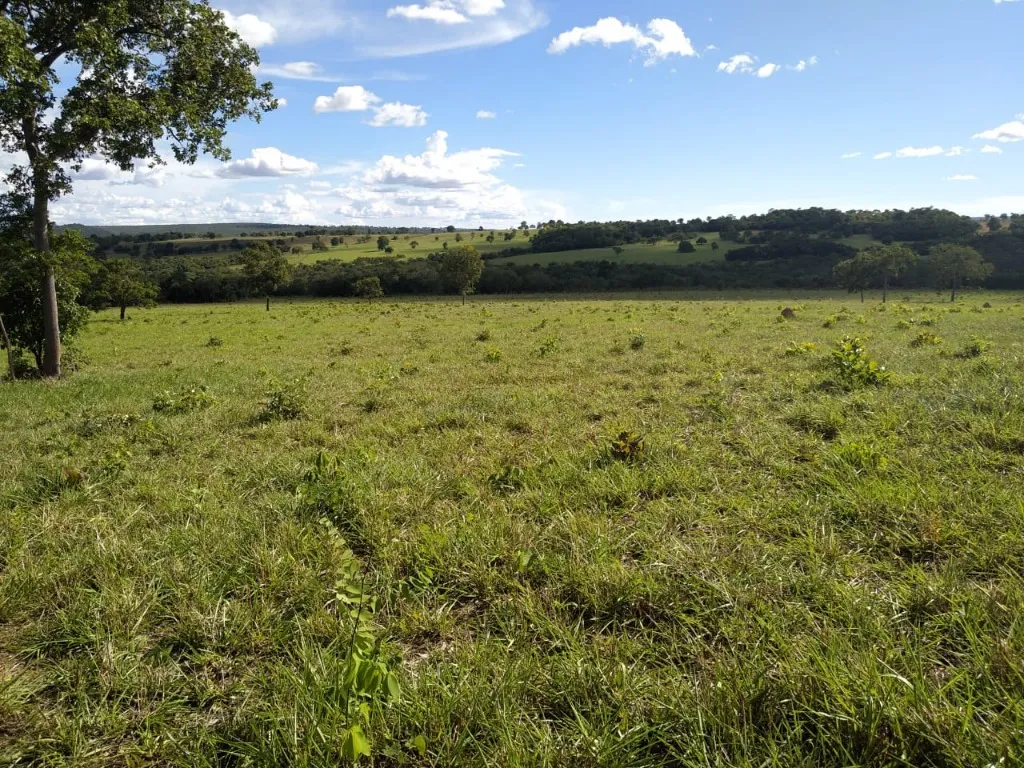 Imagem Fazenda de Rio Negro Mato Grosso do Sul-MS, Farms for sale in Brazil, farms in Brazil, Brazil farms