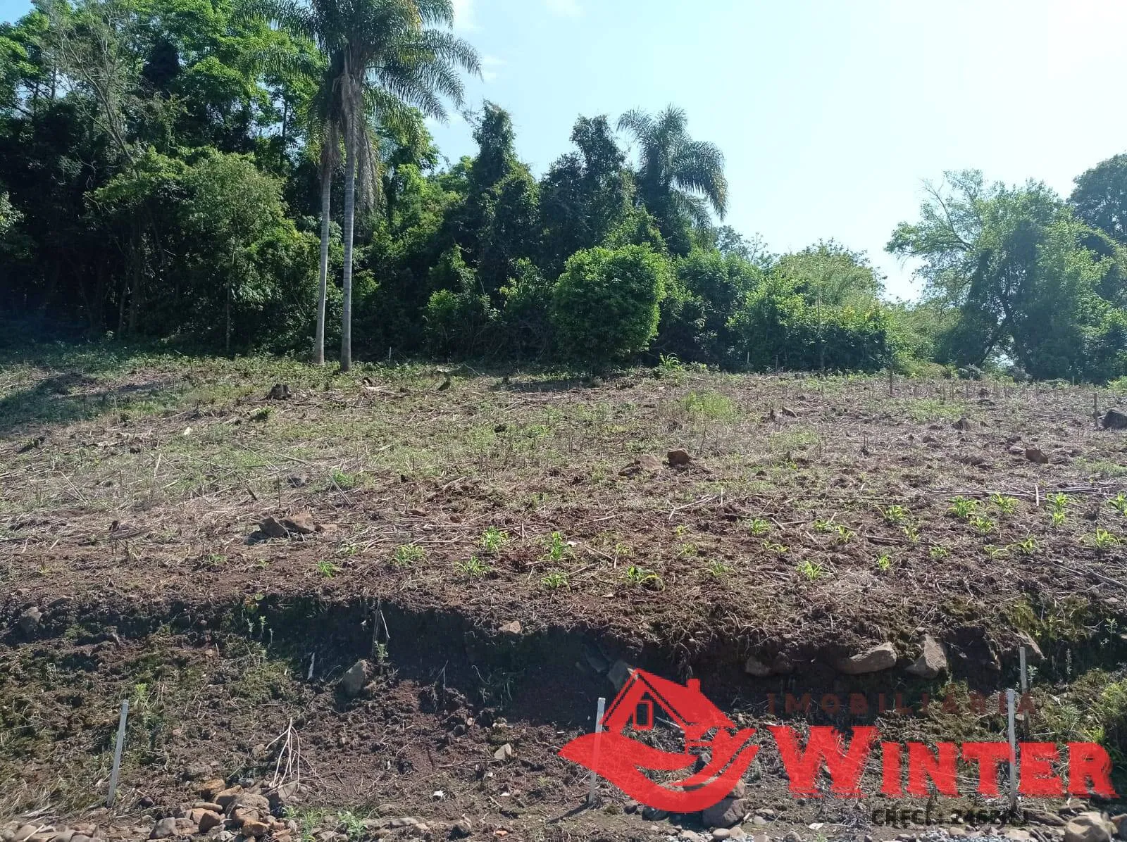 Imagem Terreno de 361,51m² em Arroio do ouro, Vale Real.