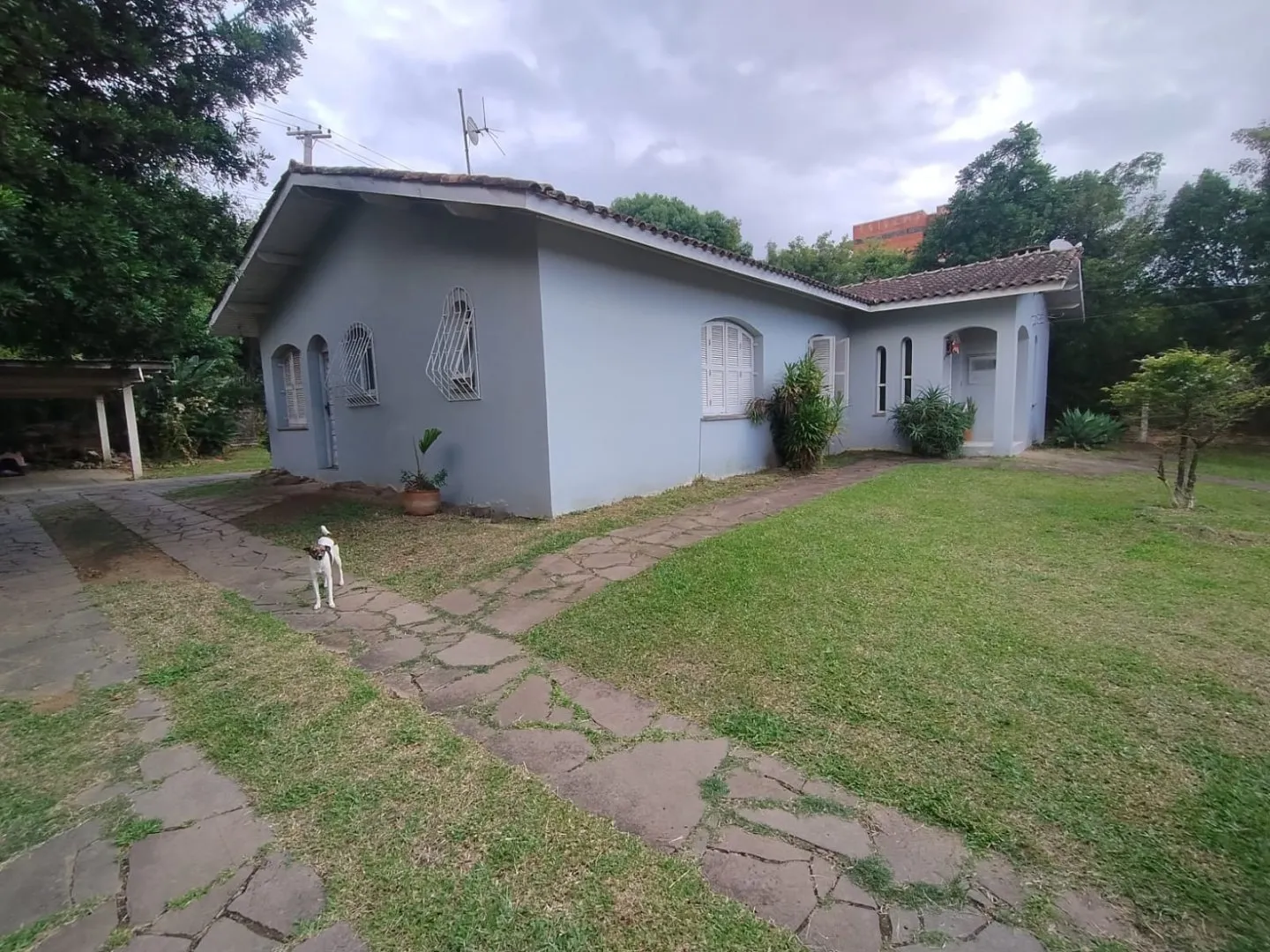 Imagem Área a venda no bairro São Lucas as margens da RS-040 denominada Tapir Rocha
