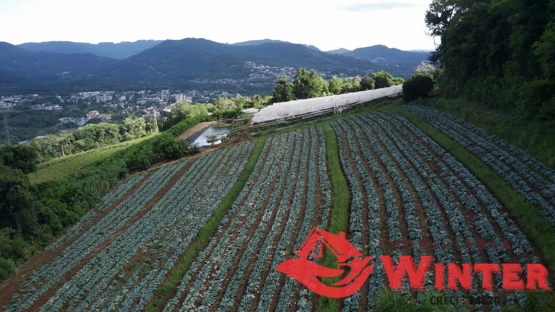 Imagem Área de terras com 16.871m2 no Picão - Feliz