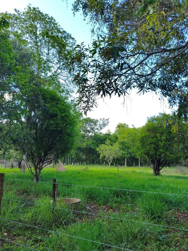 Imagem Vende-se Sítio na MG-050 ( São Sebastião d oeste ) 9,6 hectares de área