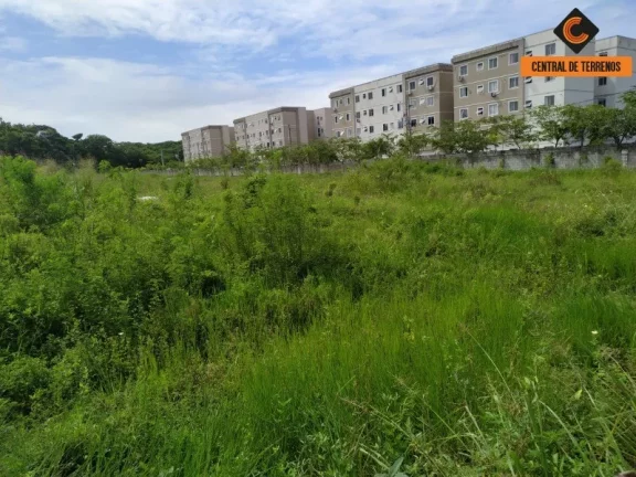 Imagem TERRENO EM CAMAÇARI