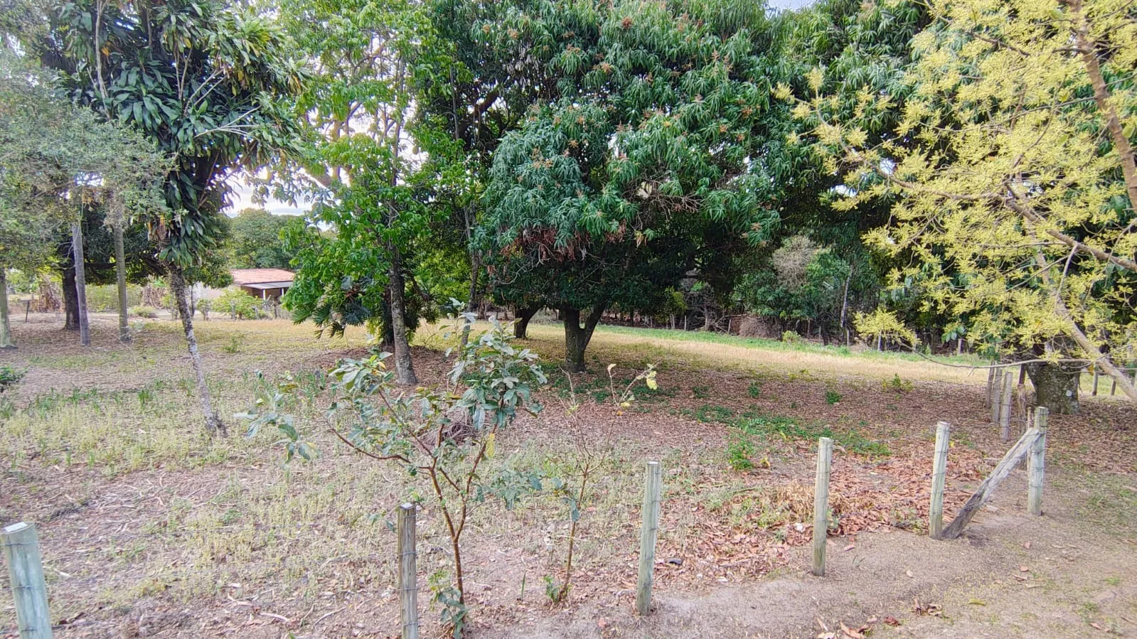 Imagem Chácara com 8925,30m² de Terreno, Casa de 204m², Barracão e Poço Caipira