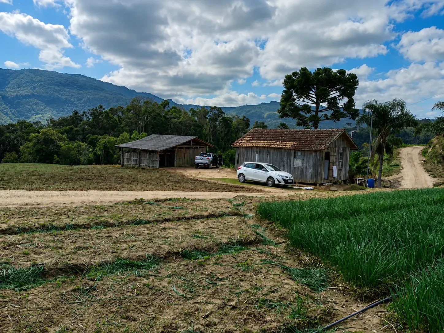 Imagem Chácara com 2 Quartos à Venda, 60000 m² em Alfredo Wagner - Alfredo Wagner