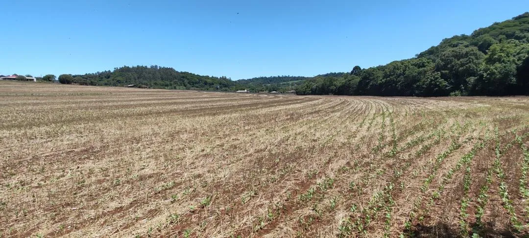 Imagem Chácara à venda em Cascavel - São Salvador - Lavoura e Rio