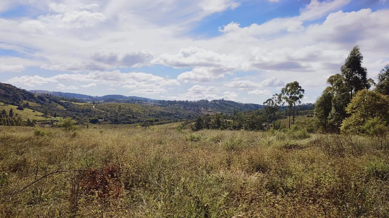 Imagem Excelente Terreno à Venda em Desterro de Entre Rios: 15 Hectares Totalmente Plano