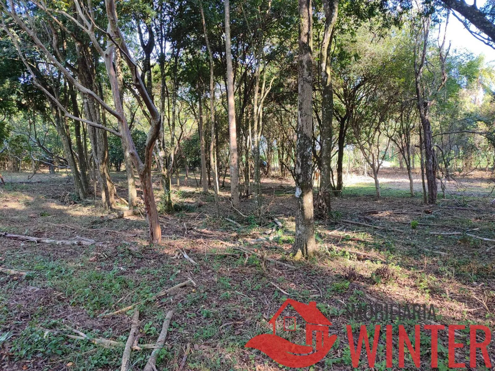 Imagem Área de terras plana com 4.800,00m² em Morro São Pedro, Bom Princípio.