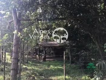 Imagem Terreno à venda, 7000 m2 por R$ 424.000,00 - Zona Rural - Canela/RS