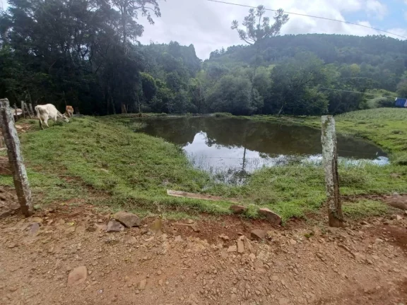 Imagem Área Agrícola para Venda em Ipumirim, Rural