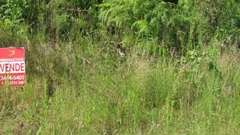 Imagem Terreno para Venda em Concórdia, Jardim