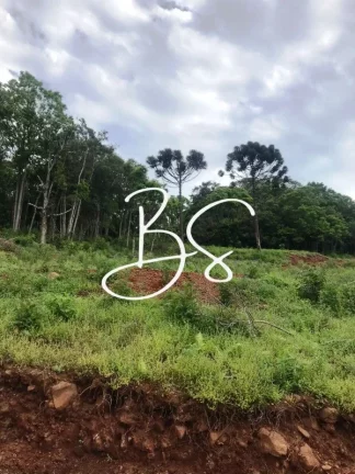 Imagem SITIO RURAL em NOVA PETRÓPOLIS - RS, Linha Pirajá Baixa