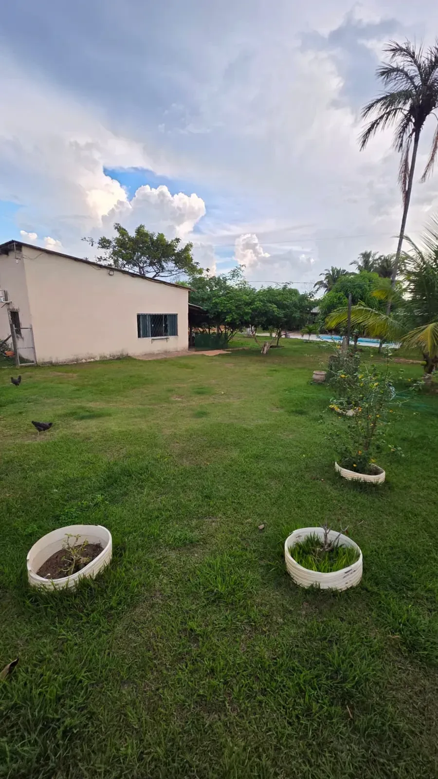 Imagem Sítio à Venda, 5.000 m² em  - 