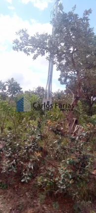 Imagem Fazenda à Venda, 20000 metros em Área Rural de São Sebastião - Brasília