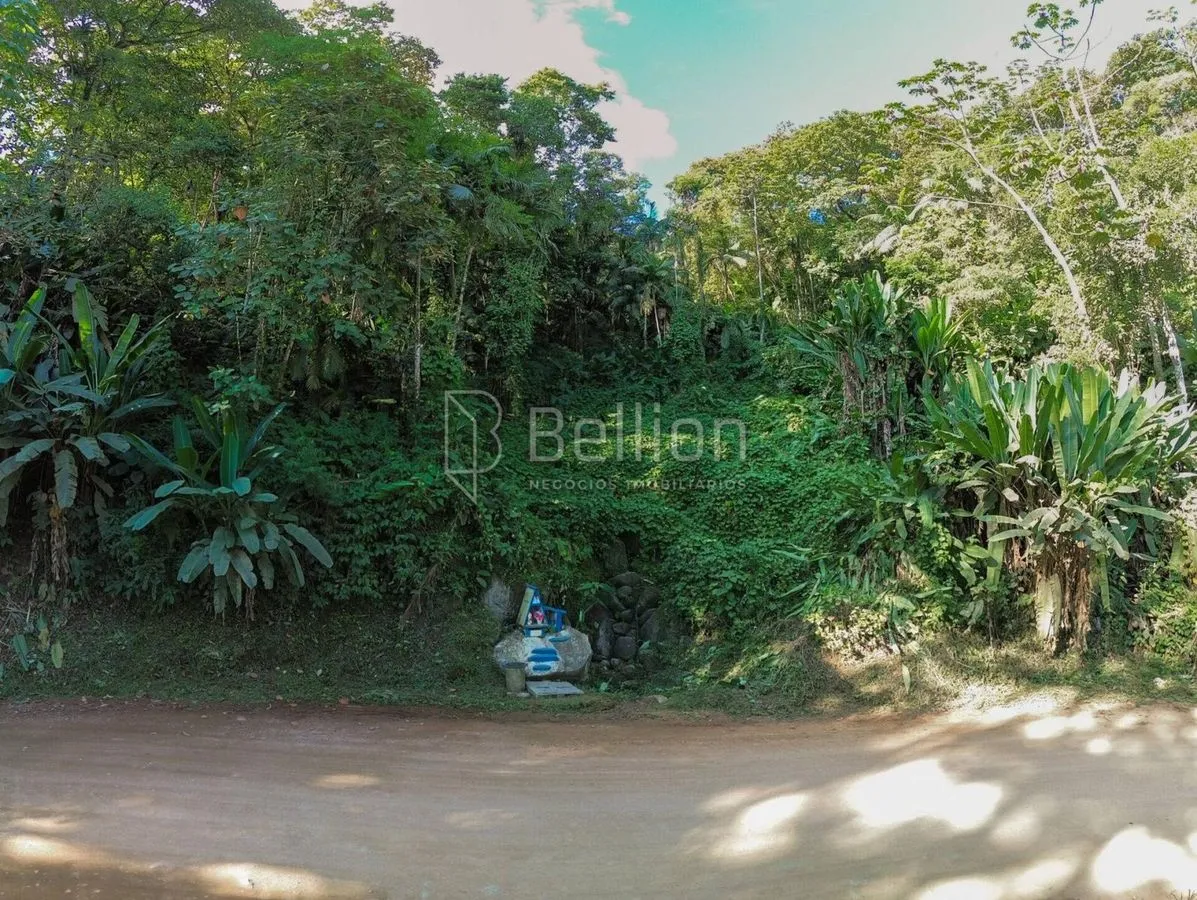 Imagem Terreno à venda em Rio dos Cedros - 45.000 m² com potencial para sítio ou cabanas