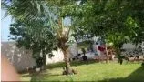 Imagem Casa com Quintal Gramado e Varanda Gourmet à Venda Amplo Terreno Sinop- MT