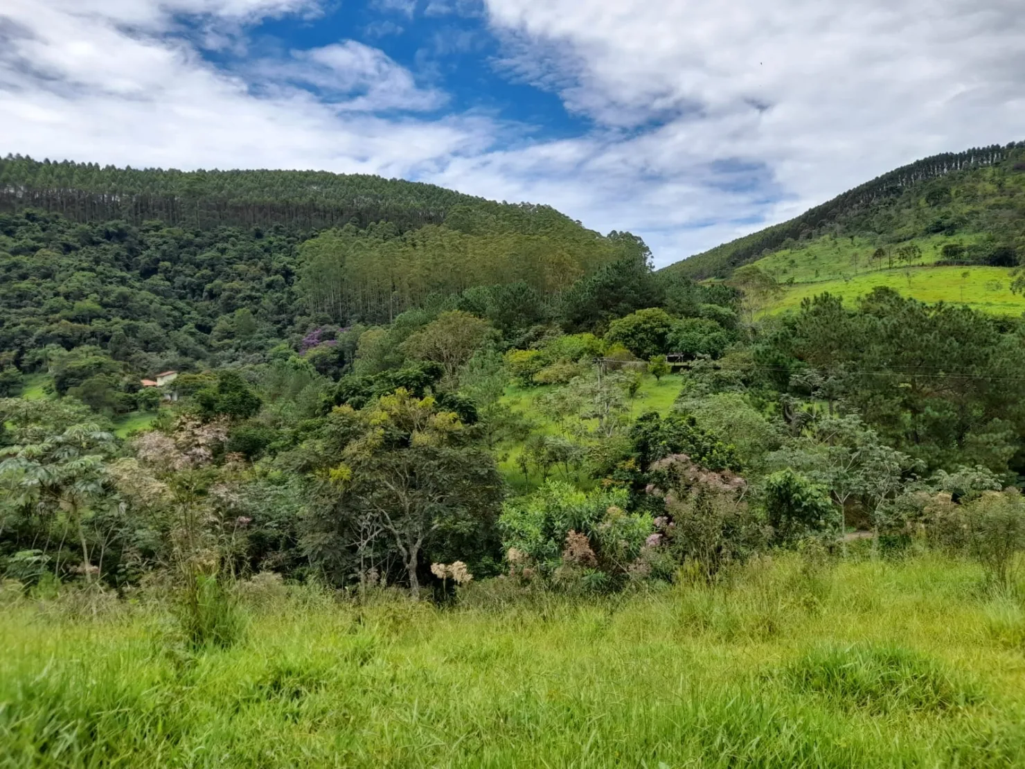Imagem Terreno à venda 10000M², Mandú, Pindamonhangaba - SP