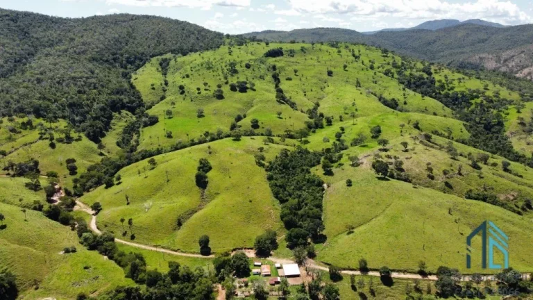 Imagem Fazenda a venda 82 alqueires em Campinacu -Goiania - GO