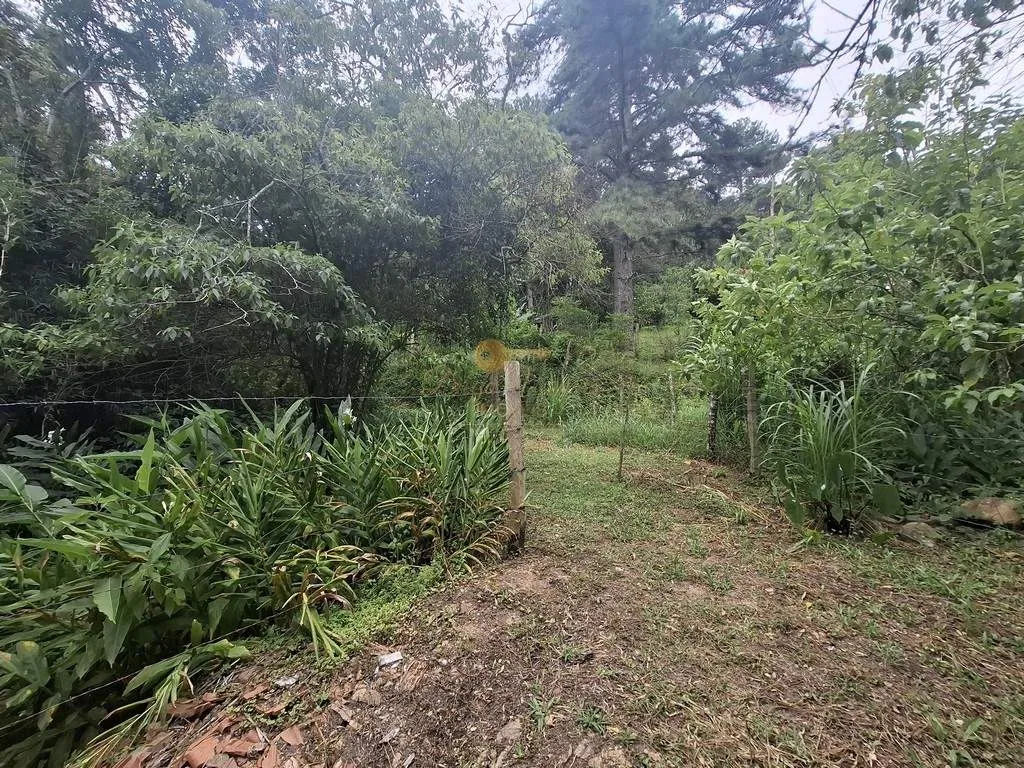 Foto do imóvel Terreno para Venda em Teresópolis / RJ em Estrada Córrego das Pedras