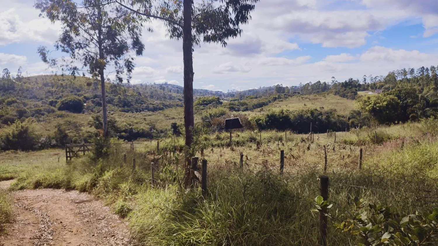Imagem Excelente Terreno à Venda em Desterro de Entre Rios: 15 Hectares Totalmente Plano