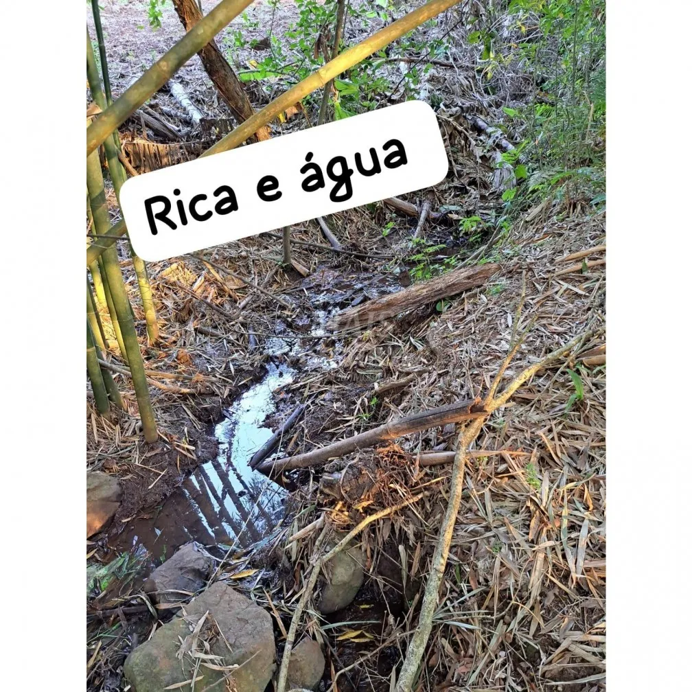 Imagem Santo Antônio da Patrulha RS - Localidade de Pinheirinhos.
R$ 270.300,00 A que busca uma área...
