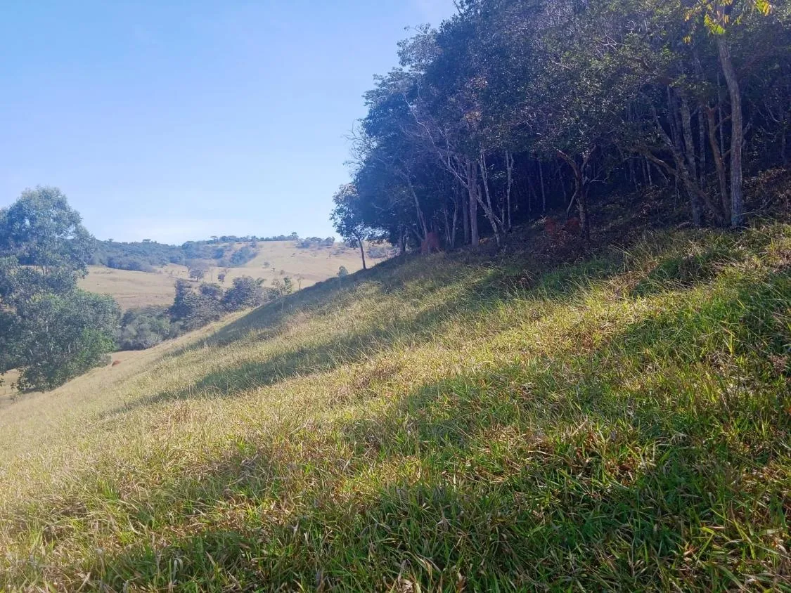 Imagem Venda de Fazenda em Crucilândia 48 hectares de terra