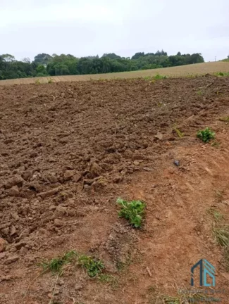 Imagem Área para plantio, bem localizada, asfalto na frente próximo a tudo em São José dos Pinhais PR