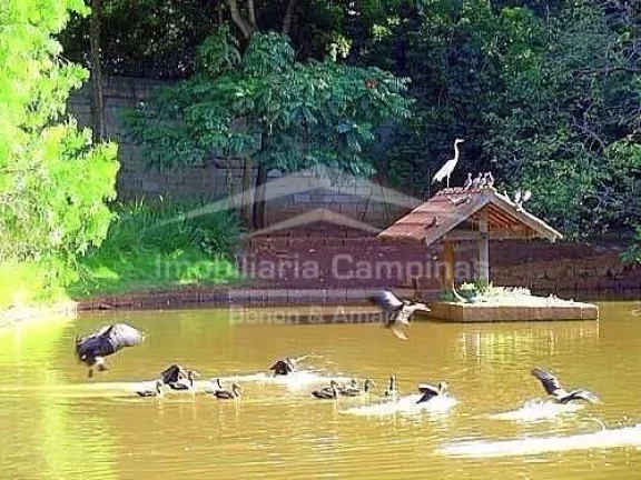 Imagem Imóvel