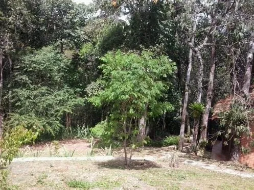 Imagem Chácara à venda 4 Quartos, 2 Suites, 52000M², Zona Rural, Santo Antônio do Pinhal - SP