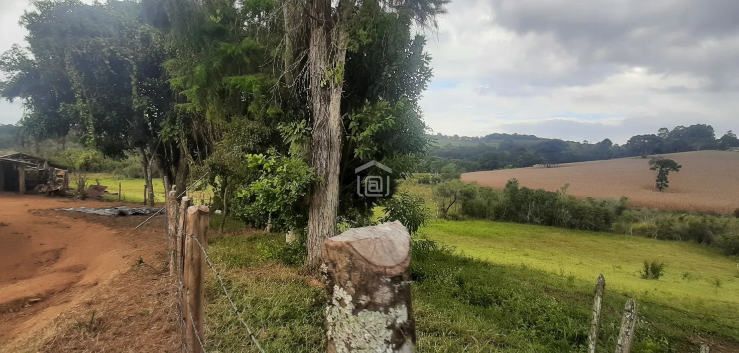 Imagem Fazenda 338,8 ha à venda em Itacolomi, Ipuiúna
