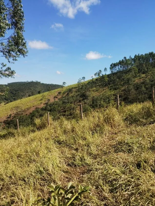Imagem Excelente Terreno à Venda em Piranga/MG: 36 Hectares com Rica Infraestrutura