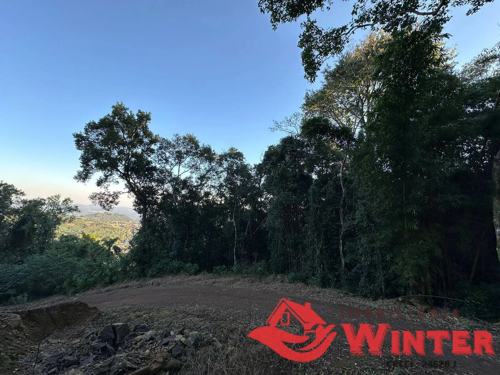 Imagem 7 hectares em Linha Nova.
