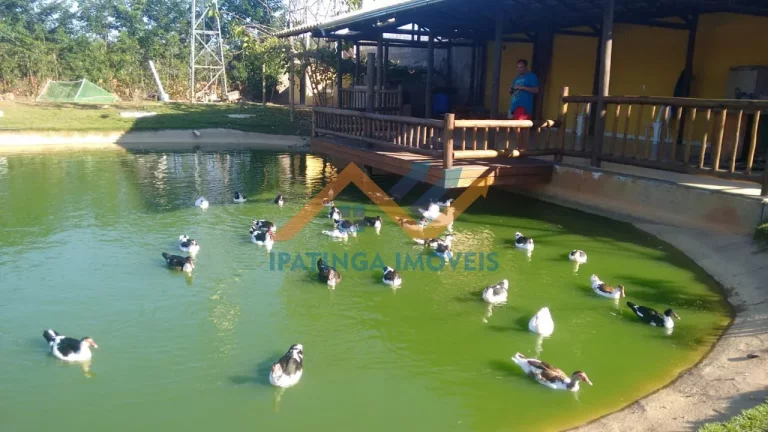 Imagem Chácara de 5.000m² em Bom Jesus do Galho