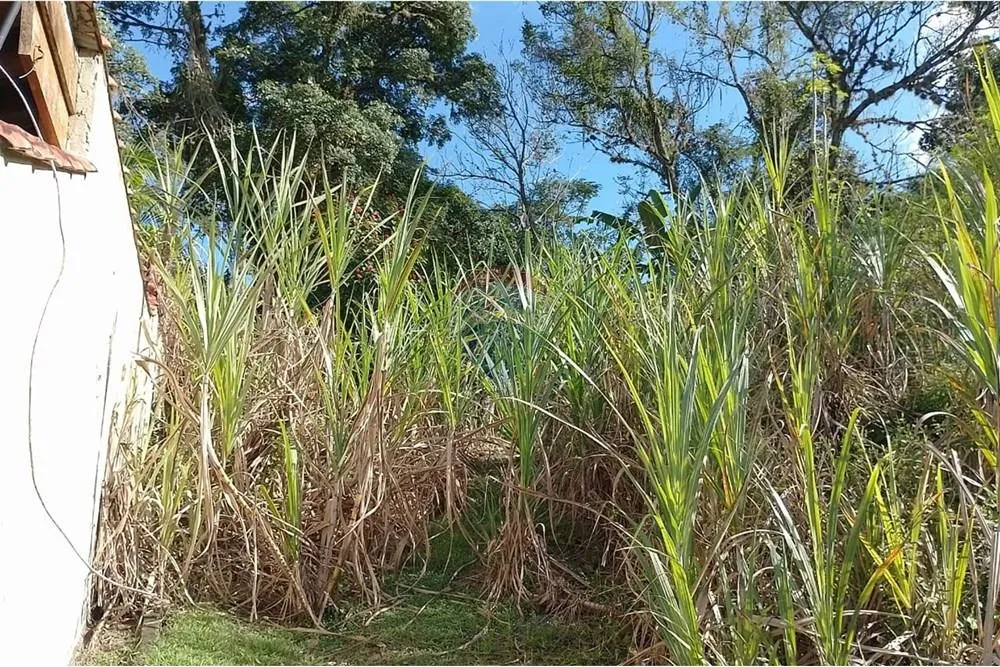 Imagem Terreno à Venda em Guaratiba