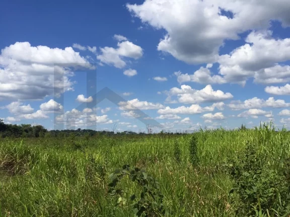 Imagem CASAL IMÓVEIS VENDE FAZENDA SÃO DOMINGOS DO CAPIM 400 HECTARES
