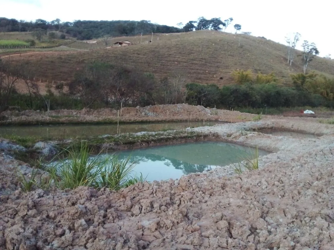 Imagem Vendo Chácara em Crucilândia com 5.000 m² de area