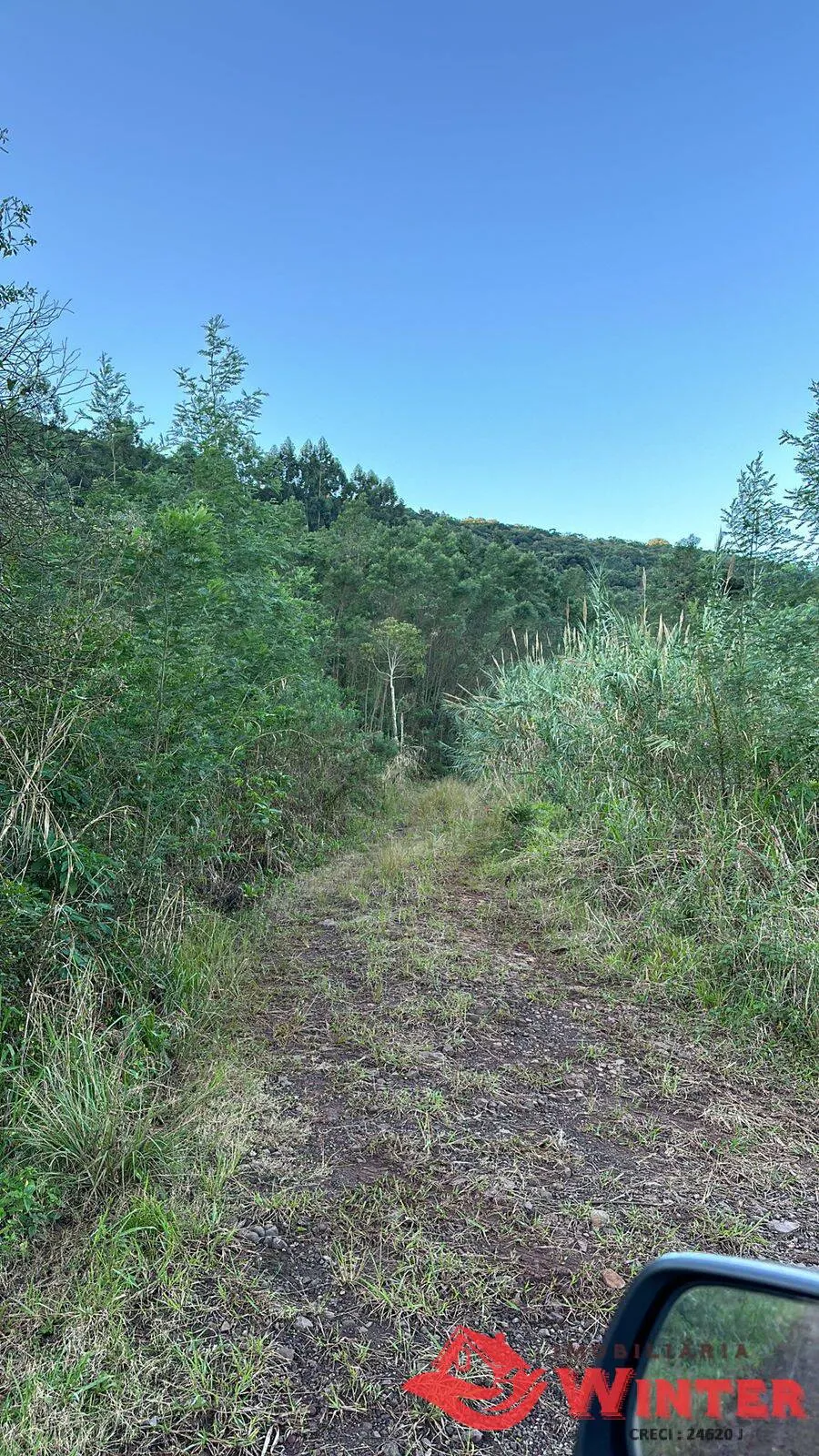 Imagem 7 hectares em Linha Nova.