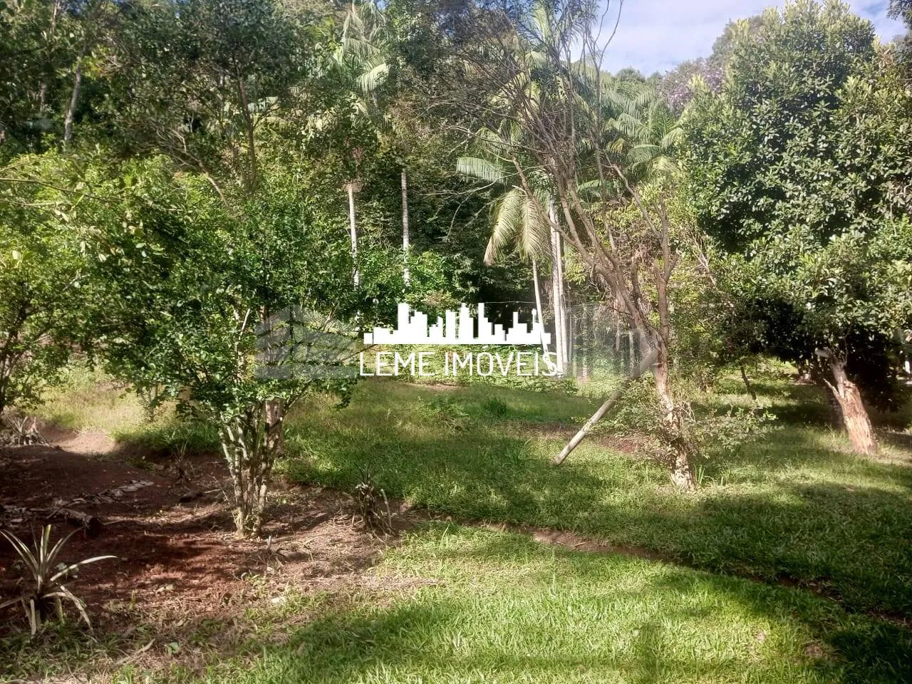 Imagem LINDO SITIO RICO EM ÁGUA MEDINDO 140,00 MIL METROS!!!