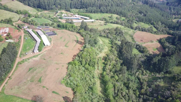 Imagem Granja para Venda em Lindóia do Sul, Interior