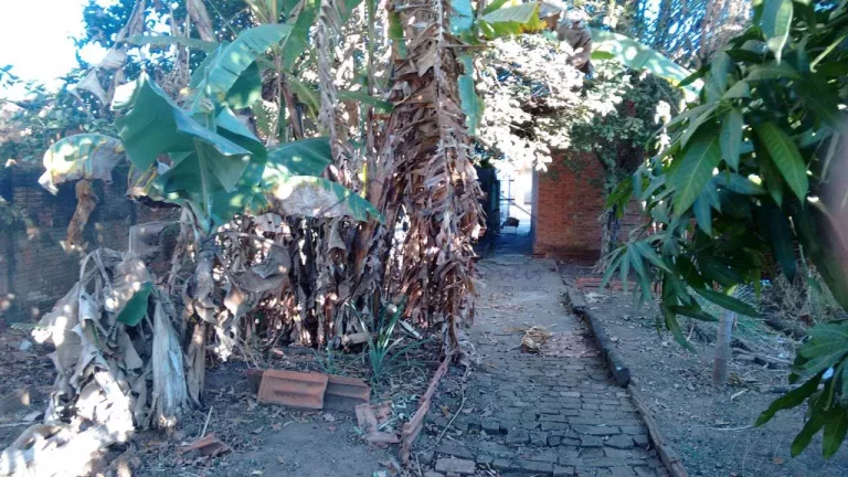 Imagem Casa Padrão