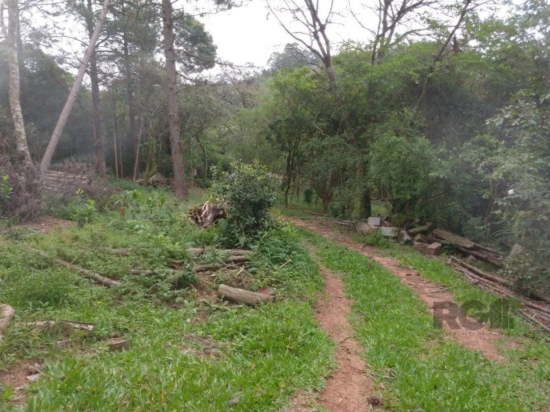Imagem Area 6,69ha | Bairro Belem Velho