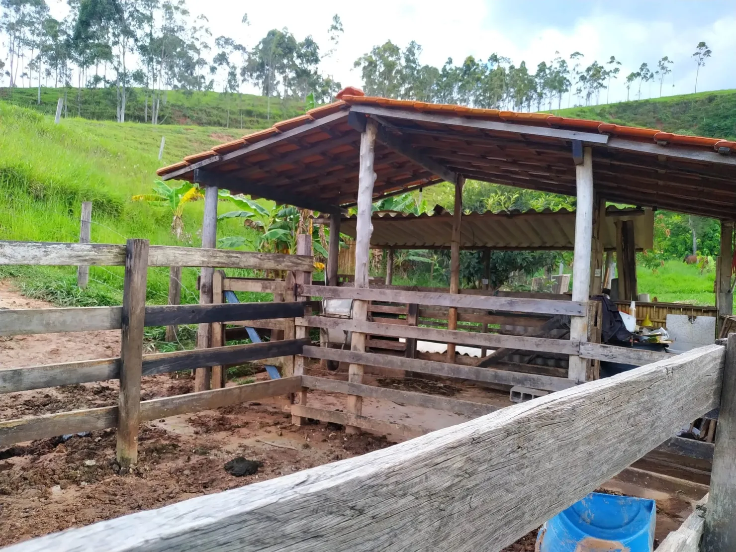 Imagem Chácara à venda 4 Quartos, 1 Suite, 90000M², Zona Rural, Silveiras - SP