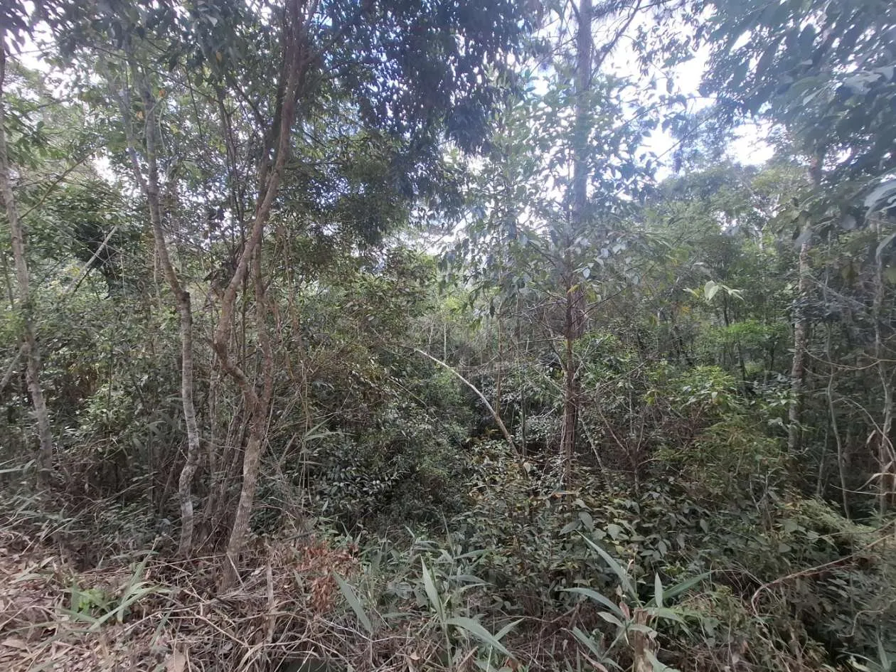 Imagem Terreno para Venda em Teresópolis / RJ no bairro Fazenda Suiça